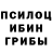 Псилоцибиновые грибы прущие грибы Joshua Alvior
