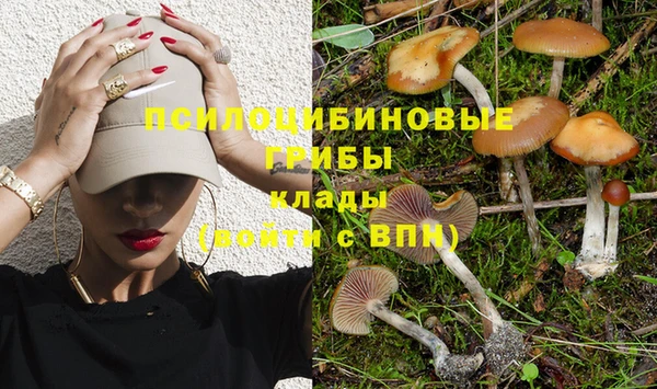прущая мука Верея