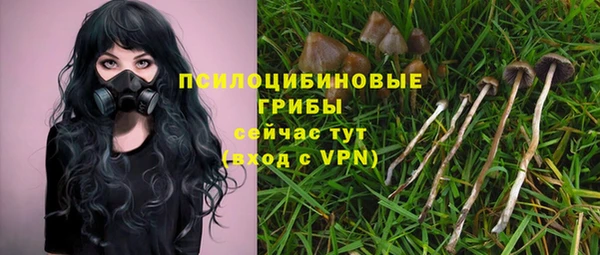 ECSTASY Гусиноозёрск