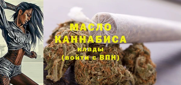 таблы Бородино