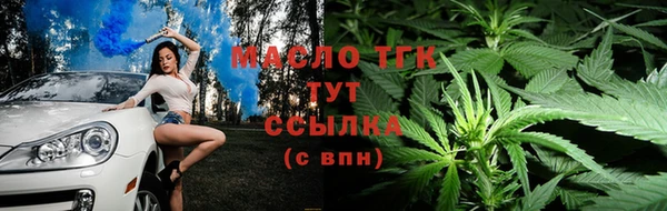 таблы Бородино