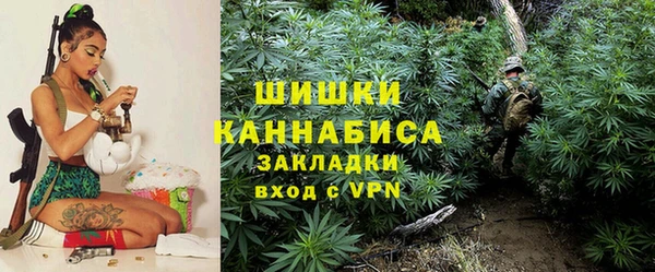 ГАЛЛЮЦИНОГЕННЫЕ ГРИБЫ Беломорск