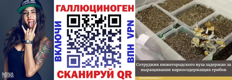 Галлюциногенные грибы Psilocybe  Оха 
